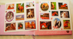 Pferde-Freundebuch - fast NEU