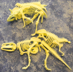 Skelette Dinosaurier