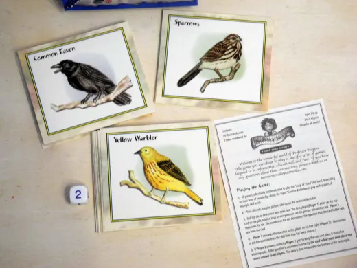 Professor Noggin's Birds of North America – Educational Trivia Card Game - Like New