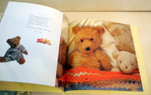 Bären Bücher Set