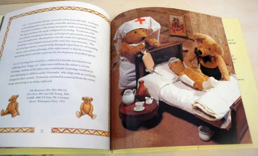 Bären Bücher Set