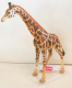 Giraffenbulle von Bullyland - NEU