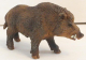 Wildschwein von Bullyland - NEU