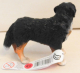 Berner Sennenhund Bianca - NEU