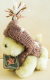 Muffy Vanderbear’s dog LuLu mit Kaputzenpullover