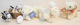 Muffy Vanderbear’s Haustier-Set 2