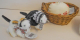 Muffy Vanderbear’s Haustier-Set 2