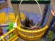 Playmobil Tierpark-Set