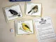 Professor Noggin's Birds of North America – Educational Trivia Card Game - Like New