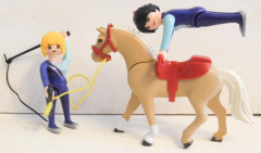 Voltigier-Training Nr. 6933