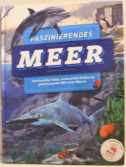 Faszinierendes Meer
