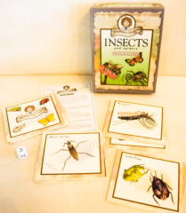 Professor Noggins Insects and Spiders. Card Game.